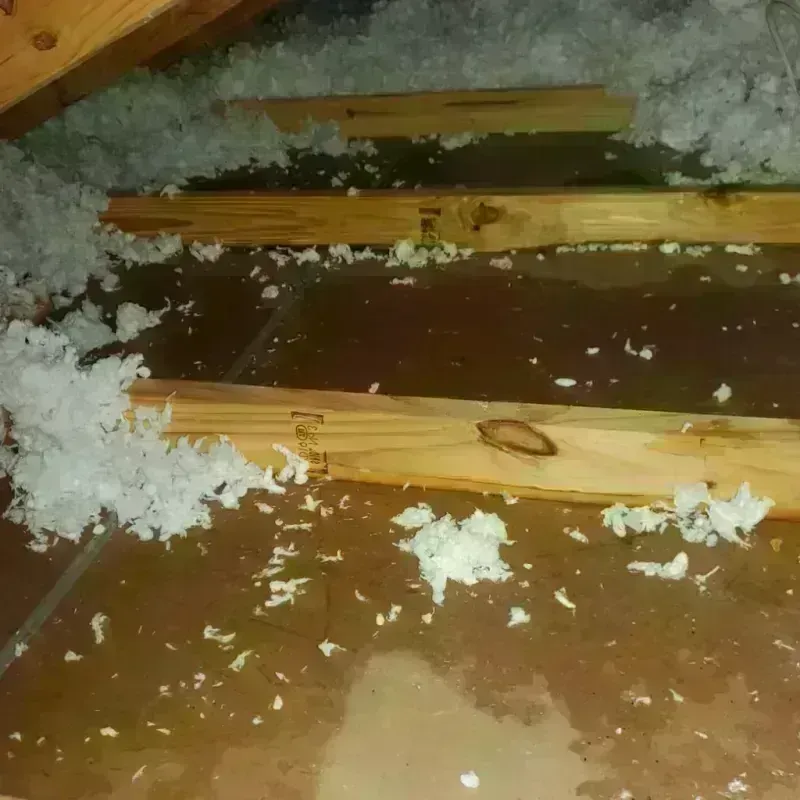 Attic Water Damage in Rusk, TX