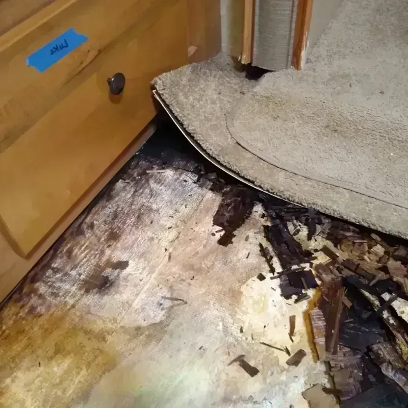 Wood Floor Water Damage in Rusk, TX